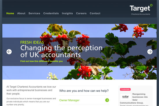 Screenshot of the Target Accountants website
